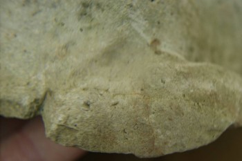 Израсцы и камни - DSC07964.JPG