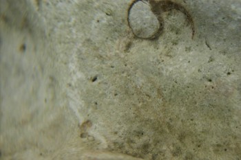 Израсцы и камни - DSC07967.JPG