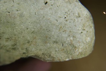 Израсцы и камни - DSC07968.JPG