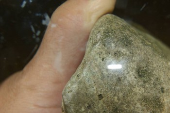 Израсцы и камни - DSC07970.JPG