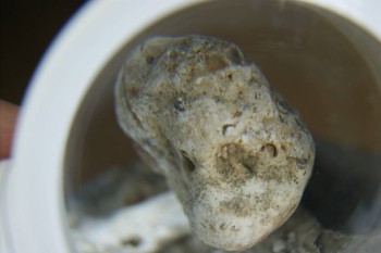 Израсцы и камни - DSC08106.JPG