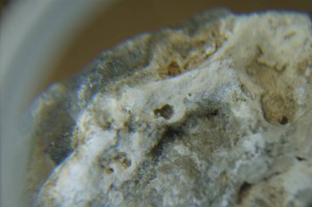 Израсцы и камни - DSC08110.JPG