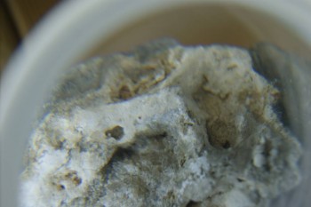 Израсцы и камни - DSC08111.JPG