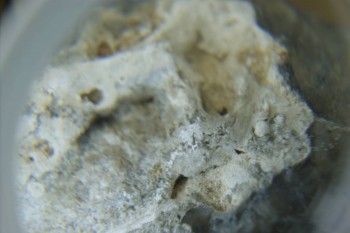 Израсцы и камни - DSC08112.JPG