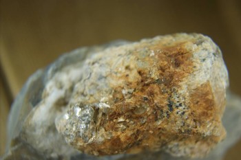 Израсцы и камни - DSC08118.JPG