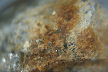 Израсцы и камни - DSC08121.JPG