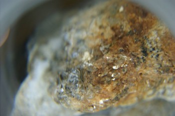 Израсцы и камни - DSC08122.JPG