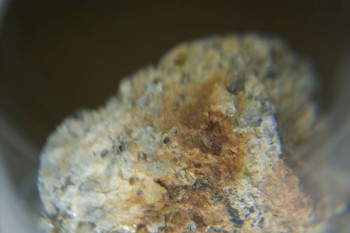 Израсцы и камни - DSC08126.JPG