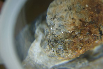 Израсцы и камни - DSC08124.JPG