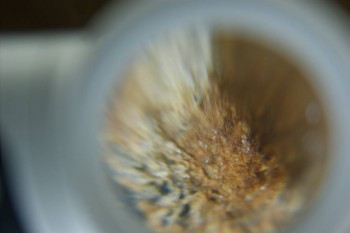 Израсцы и камни - DSC08129.JPG