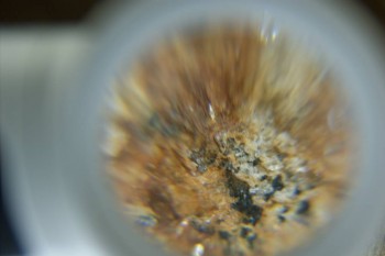 Израсцы и камни - DSC08128.JPG