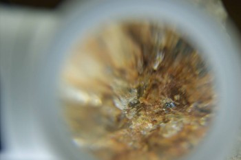 Израсцы и камни - DSC08131.JPG