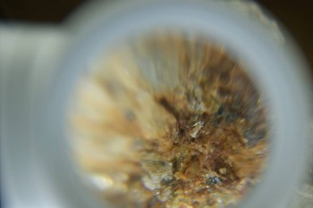 Израсцы и камни - DSC08132.JPG