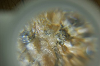 Израсцы и камни - DSC08137.JPG