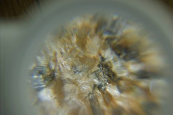 Израсцы и камни - DSC08138.JPG