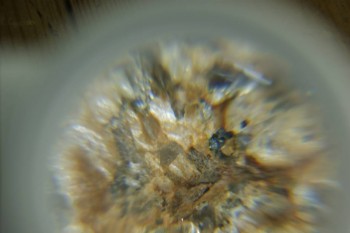 Израсцы и камни - DSC08139.JPG