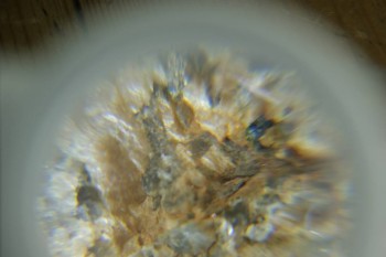 Израсцы и камни - DSC08140.JPG