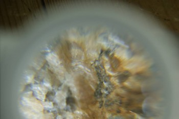 Израсцы и камни - DSC08141.JPG