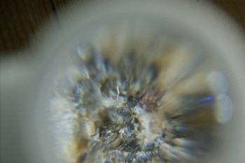 Израсцы и камни - DSC08142.JPG