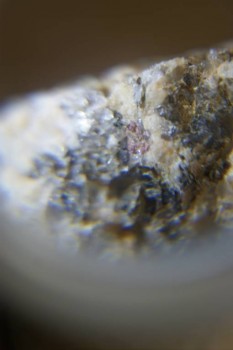 Израсцы и камни - DSC08145.JPG