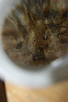 Израсцы и камни - DSC08148.JPG