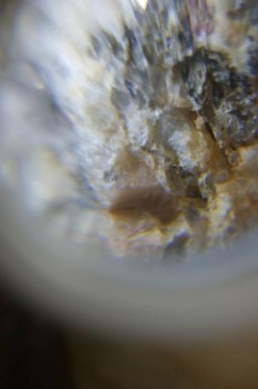 Израсцы и камни - DSC08149.JPG