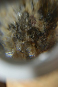 Израсцы и камни - DSC08150.JPG