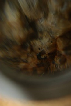 Израсцы и камни - DSC08153.JPG