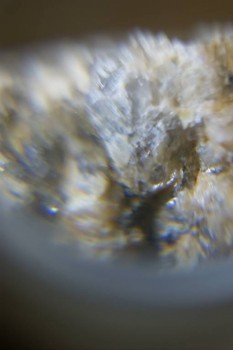 Израсцы и камни - DSC08152.JPG