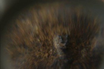 Израсцы и камни - DSC08154.JPG