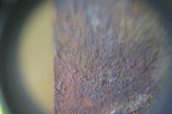 Израсцы и камни - DSC08155.JPG