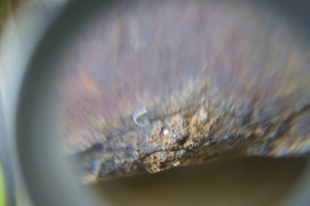 Израсцы и камни - DSC08156.JPG