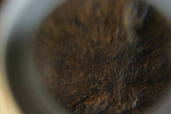 Израсцы и камни - DSC08158.JPG