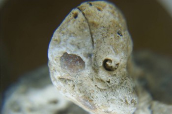 Израсцы и камни - DSC08102.JPG