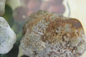 Израсцы и камни - DSC08167.JPG