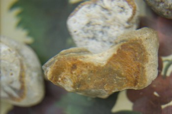 Израсцы и камни - DSC08172.JPG