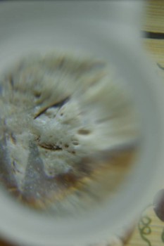 Израсцы и камни - DSC08174.JPG