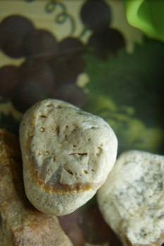 Израсцы и камни - DSC08177.JPG