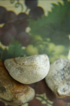 Израсцы и камни - DSC08183.JPG