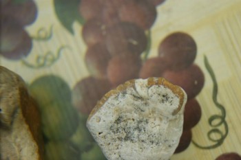 Израсцы и камни - DSC08196.JPG