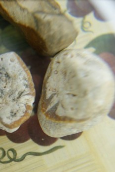 Израсцы и камни - DSC08199.JPG