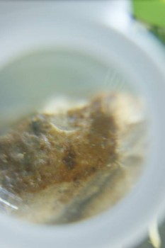 Израсцы и камни - DSC08202.JPG