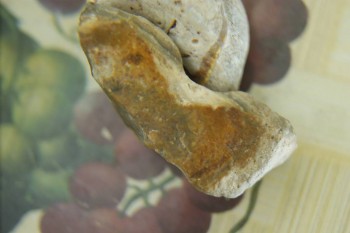 Израсцы и камни - DSC08204.JPG