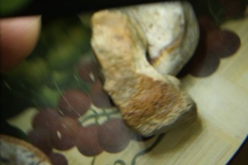 Израсцы и камни - DSC08205.JPG