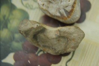 Израсцы и камни - DSC08207.JPG