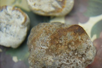 Израсцы и камни - DSC08208.JPG