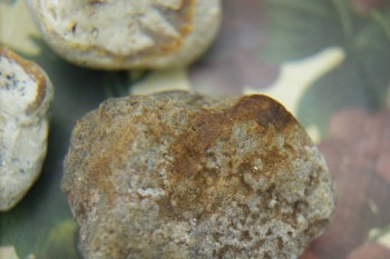 Израсцы и камни - DSC08209.JPG