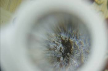 Израсцы и камни - DSC08222.JPG