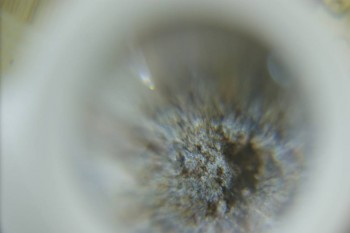 Израсцы и камни - DSC08223.JPG