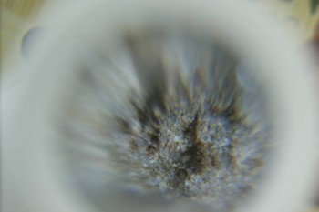 Израсцы и камни - DSC08224.JPG